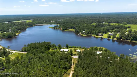 View/Area - 17242 E Spring Lake Dr, Vancleave, MS 39565 photo 10 of 14