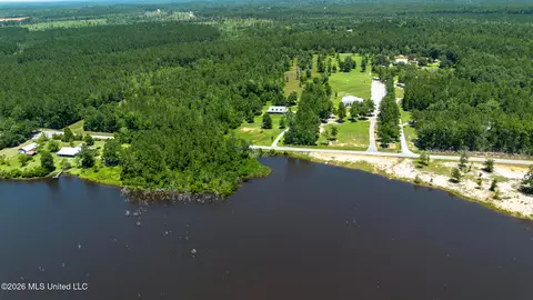 View/Area - 17242 E Spring Lake Dr, Vancleave, MS 39565 photo 8 of 14