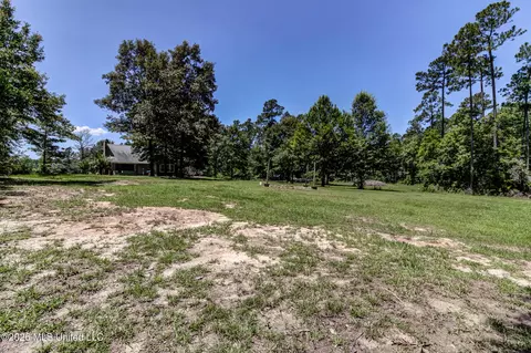 Exterior - 17242 E Spring Lake Dr, Vancleave, MS 39565 photo 15 of 17
