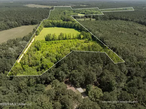 Ab Jordan Drive, Richton, MS 39476