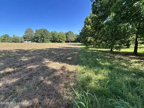 0000 Willis Cotton Rd, Summit, MS 39666 photo 7