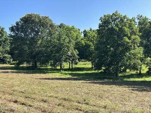 0000 Willis Cotton Rd, Summit, MS 39666 photo 15