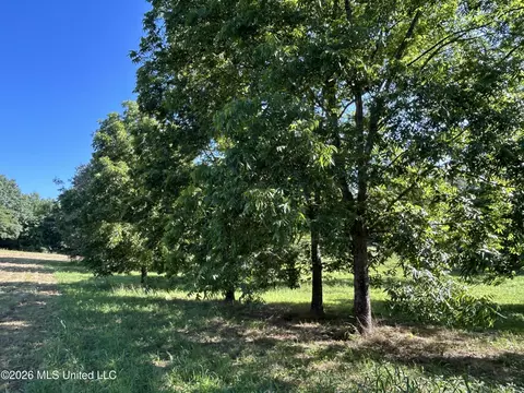 0000 Willis Cotton Rd, Summit, MS 39666 photo 11