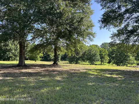 0000 Willis Cotton Rd, Summit, MS 39666 photo 13