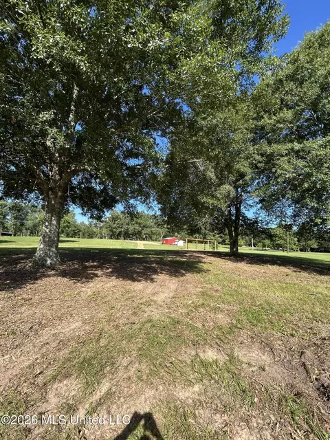 0000 Willis Cotton Rd, Summit, MS 39666 photo 9
