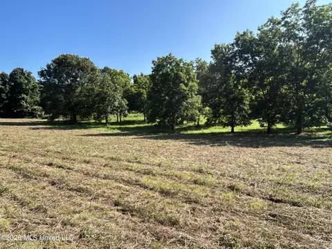 0000 Willis Cotton Rd, Summit, MS 39666 photo 16