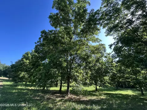 0000 Willis Cotton Rd, Summit, MS 39666 photo 10