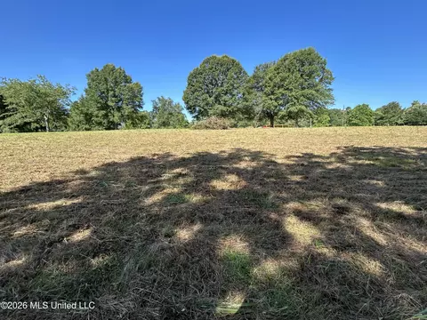 0000 Willis Cotton Rd, Summit, MS 39666