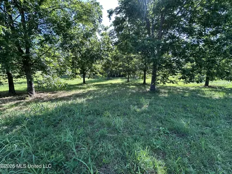 0000 Willis Cotton Rd, Summit, MS 39666 photo 8