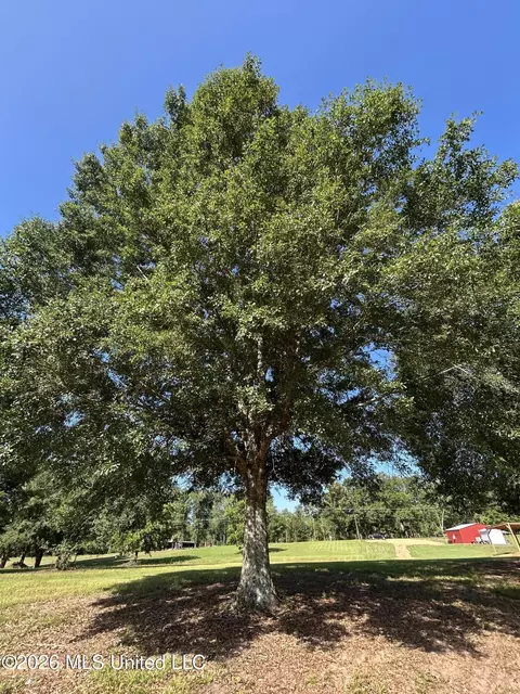 0000 Willis Cotton Rd, Summit, MS 39666 photo 6