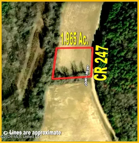 500 Cr 247 Country Rd, Bruce, MS 38915 photo 2