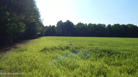 500 Cr 247 Country Rd, Bruce, MS 38915 photo 3
