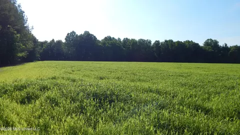 500 Cr 247 Country Rd, Bruce, MS 38915 photo 4