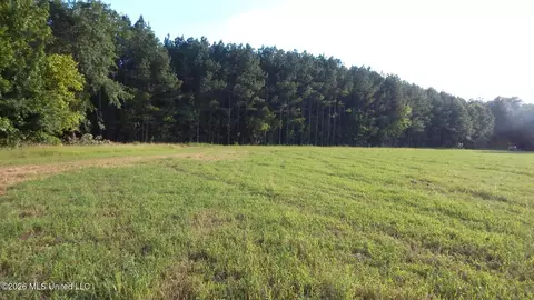 500 Cr 247 Country Rd, Bruce, MS 38915 photo 5
