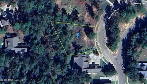 98 Baneberry Trce, Hattiesburg, MS 39402