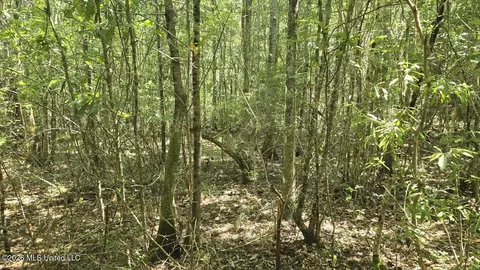 Addison Road, State Line, MS 39362 photo 20