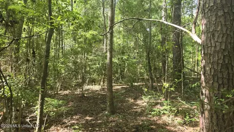 Addison Road, State Line, MS 39362 photo 14