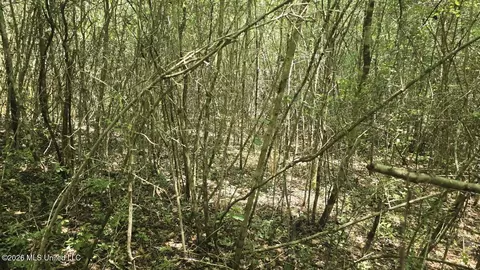 Addison Road, State Line, MS 39362 photo 22