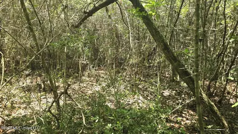 Addison Road, State Line, MS 39362 photo 21