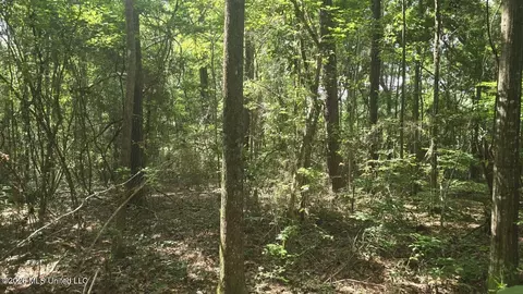 Addison Road, State Line, MS 39362 photo 16