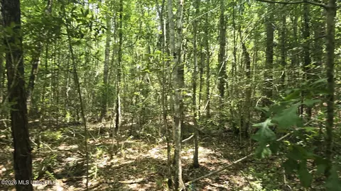 Addison Road, State Line, MS 39362 photo 24