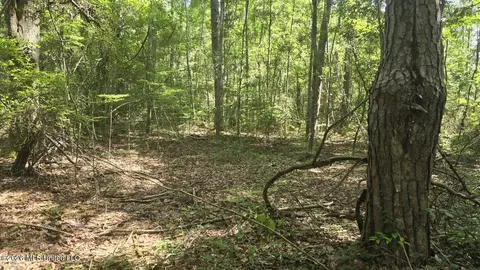 Addison Road, State Line, MS 39362
