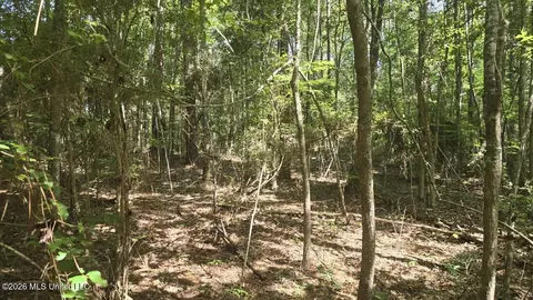 Addison Road, State Line, MS 39362 photo 8