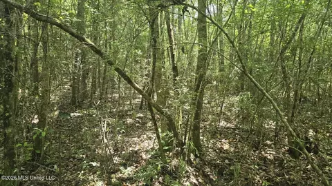 Addison Road, State Line, MS 39362 photo 25