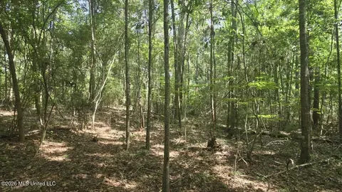 Addison Road, State Line, MS 39362 photo 10
