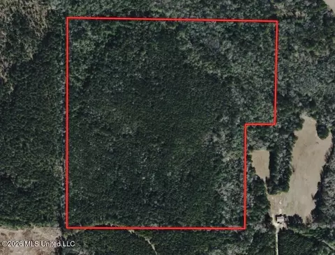 Addison Road, State Line, MS 39362 photo 26