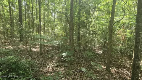 Addison Road, State Line, MS 39362 photo 2