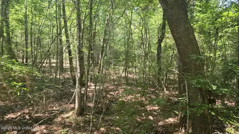 Addison Road, State Line, MS 39362 photo 19