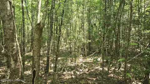 Addison Road, State Line, MS 39362 photo 23
