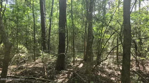 Addison Road, State Line, MS 39362 photo 6