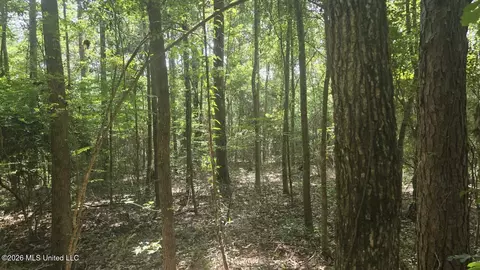 Addison Road, State Line, MS 39362 photo 13