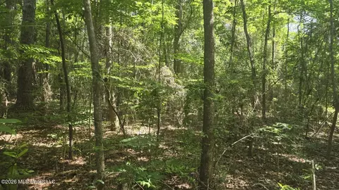Addison Road, State Line, MS 39362 photo 5