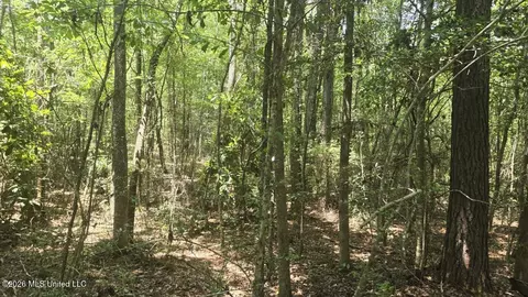 Addison Road, State Line, MS 39362 photo 18