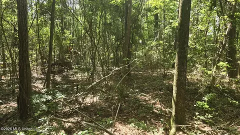 Addison Road, State Line, MS 39362 photo 17