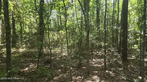 Addison Road, State Line, MS 39362 photo 3