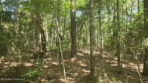 Addison Road, State Line, MS 39362 photo 9