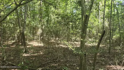 Addison Road, State Line, MS 39362 photo 7