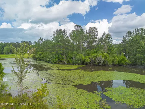 View/Area - 130 Daniels Way, Saucier, MS 39574 photo 4 of 4