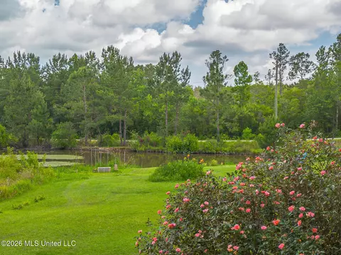 View/Area - 130 Daniels Way, Saucier, MS 39574 photo 3 of 4