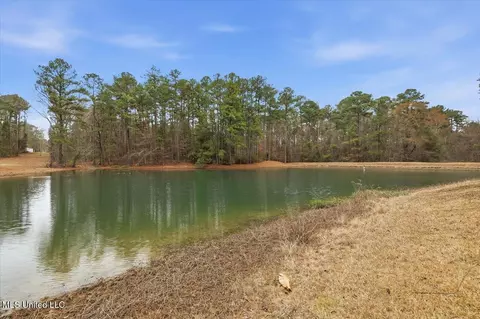 View/Area - 1407 Monterey Rd, Florence, MS 39073 photo 1 of 16