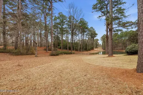 Exterior - 1407 Monterey Rd, Florence, MS 39073 photo 4 of 15