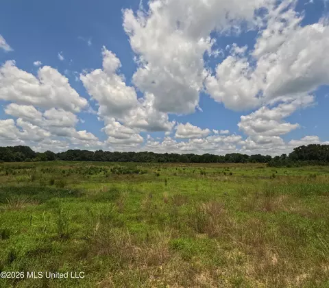 Old Port Gibson Road, Utica, MS 39175