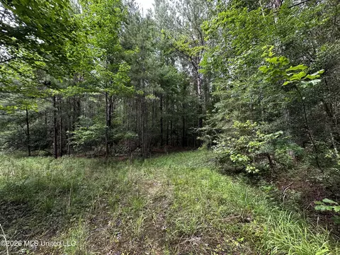 Highway 48, Gloster, MS 39638 photo 22