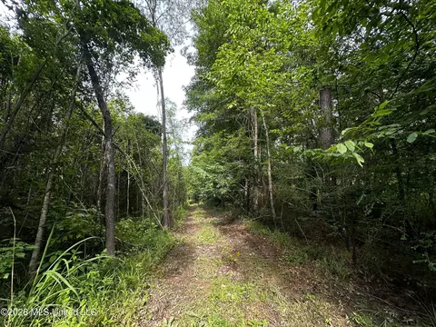 Highway 48, Gloster, MS 39638 photo 6
