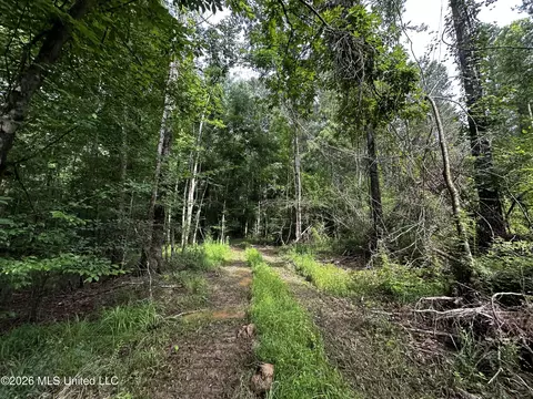 Highway 48, Gloster, MS 39638 photo 8