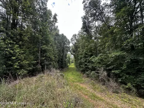Highway 48, Gloster, MS 39638 photo 26